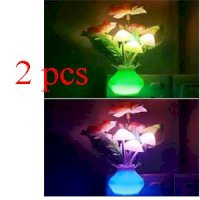 2 Pcs