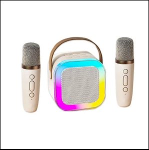 Wireless Speaker Dual Mic