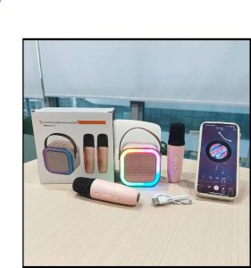 Wireless Speaker Dual Mic